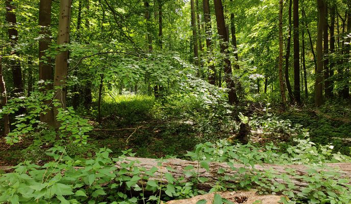 Foto 1 der Bikemap-Route "Bike Ride" Foto 1 der Bikemap-Route "Bike Ride"