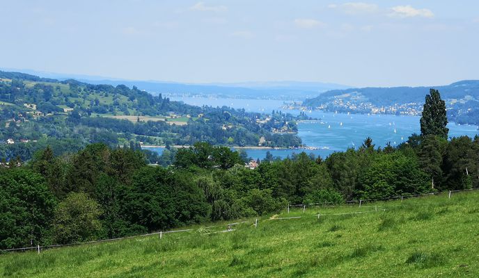 Photo 2 de l’itinéraire Bikemap « Jägerstrasse 1, Schaffhausen nach Moserstrasse 8, Schaffhausen »
