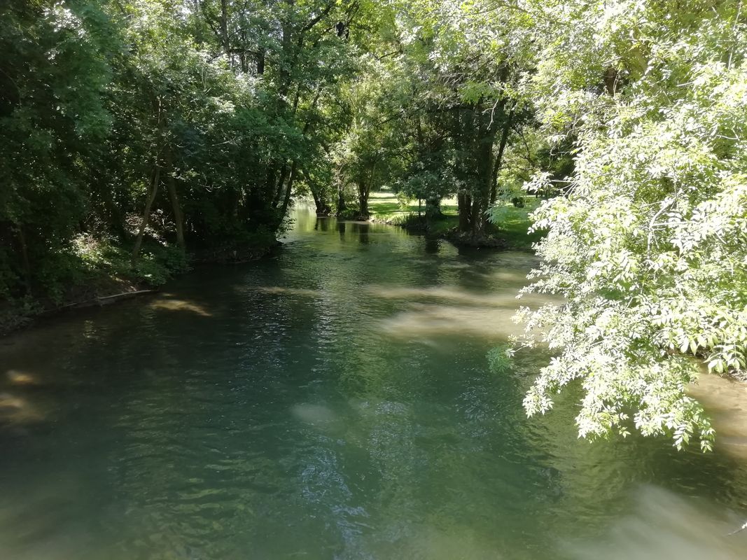 rives de boutonne des rivières aux écluses de l'houmé, petites routes de campagne souvent ombragées. magnifique