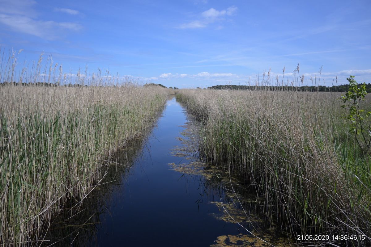 Wanderung von Prerow zum Darßer Ort und Ottesee