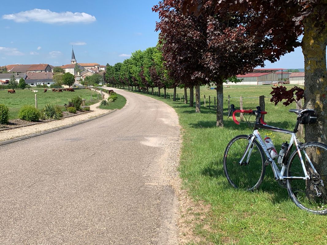 Côte de Toul - Gélaucourt