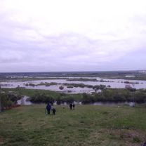 От улица Розы Люксембург 5, Киров до улица Казанская 20, Киров