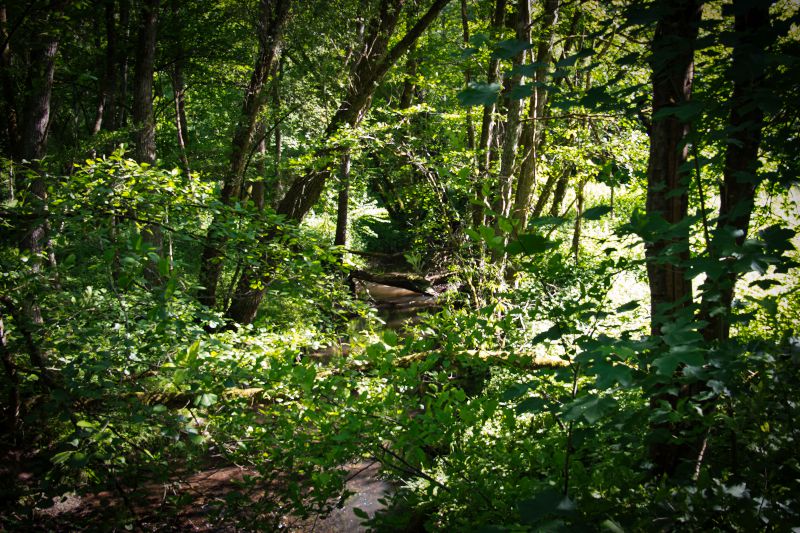 Möhringen - Schaichtal über Schönaich, Dettenhausen, 7 Mühlen-Tal (49km)