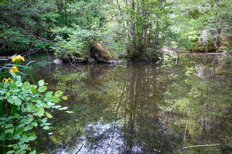 Möhringen - Schaichtal über Schönaich, Dettenhausen, 7 Mühlen-Tal (49km)