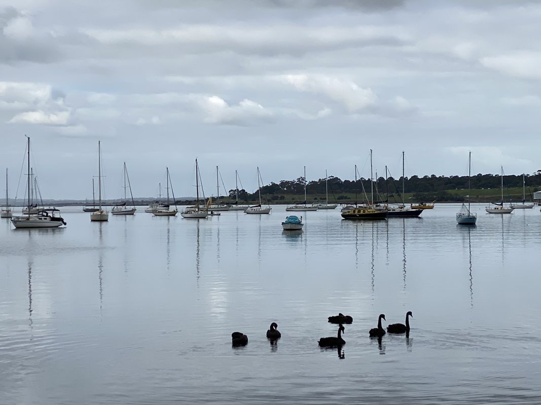 Walk in Geelong