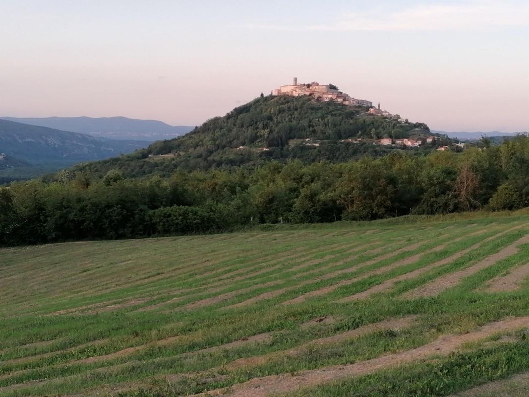 Pahovići - Brkač - Krvar - Špinovci - Pahovići