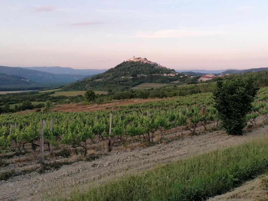 Pahovići - Brkač - Krvar - Špinovci - Pahovići