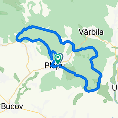 Padurea plopu exp