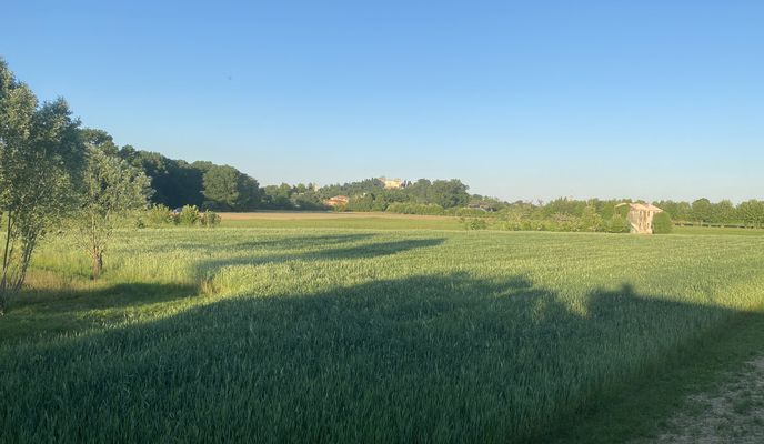 Photo 2 of the Bikemap route "Da Veggiano a Secula"