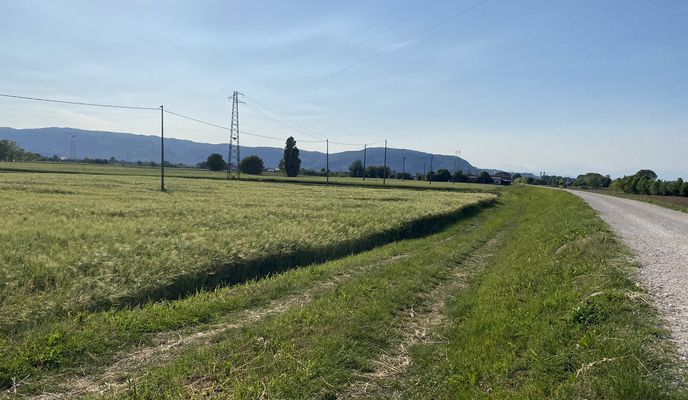 Photo 1 of the Bikemap route "Da Veggiano a Secula"