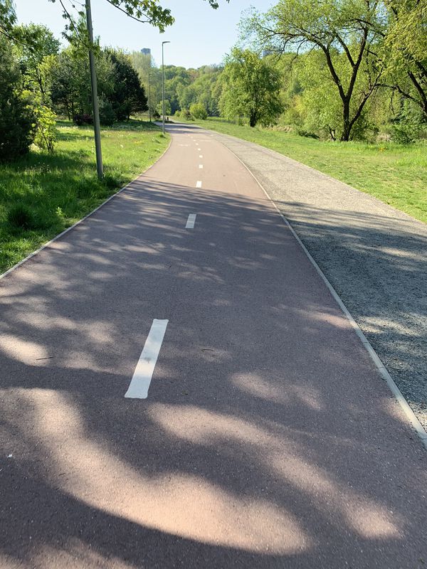 20km, Viršul-Šeškin-Žvėryn-Paupio kelias