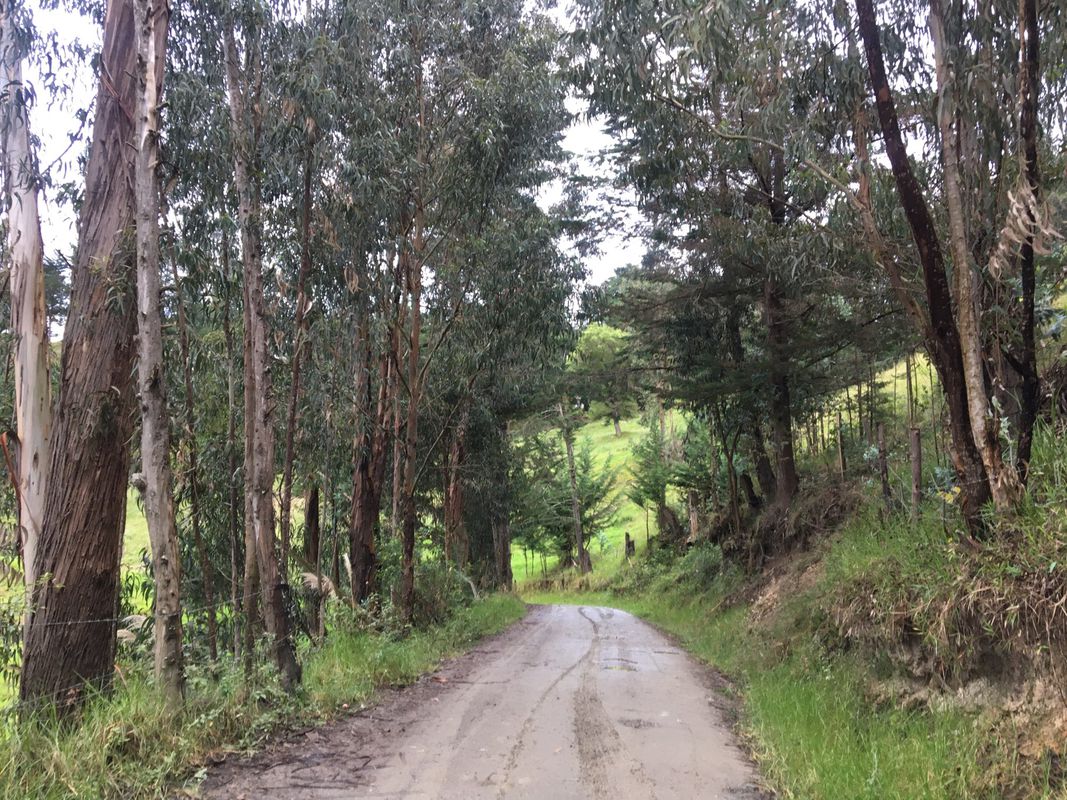 Slow ride in Loja