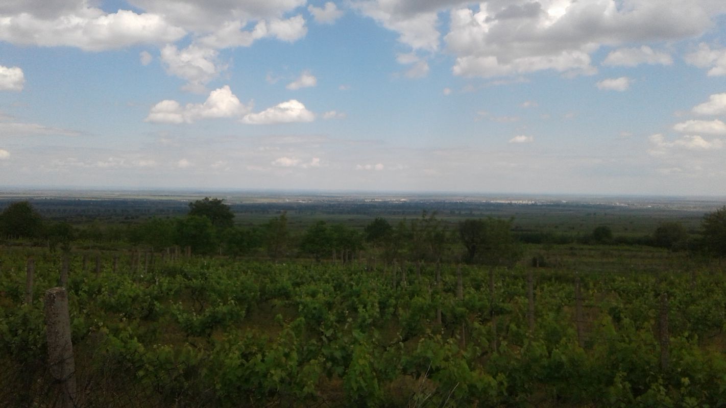 DJ205C 42, Golești to Strada Vergului 11, Golești