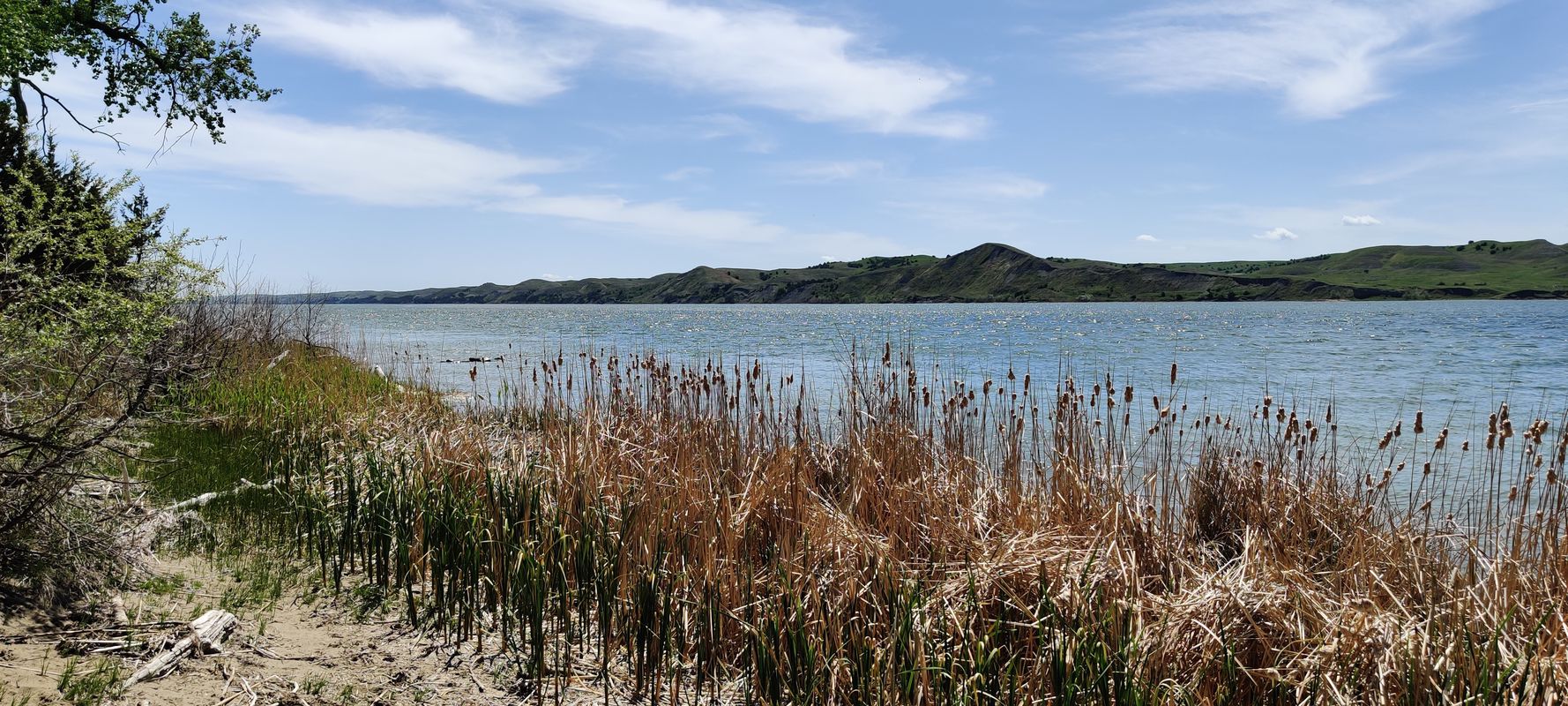 Farm Island Biking