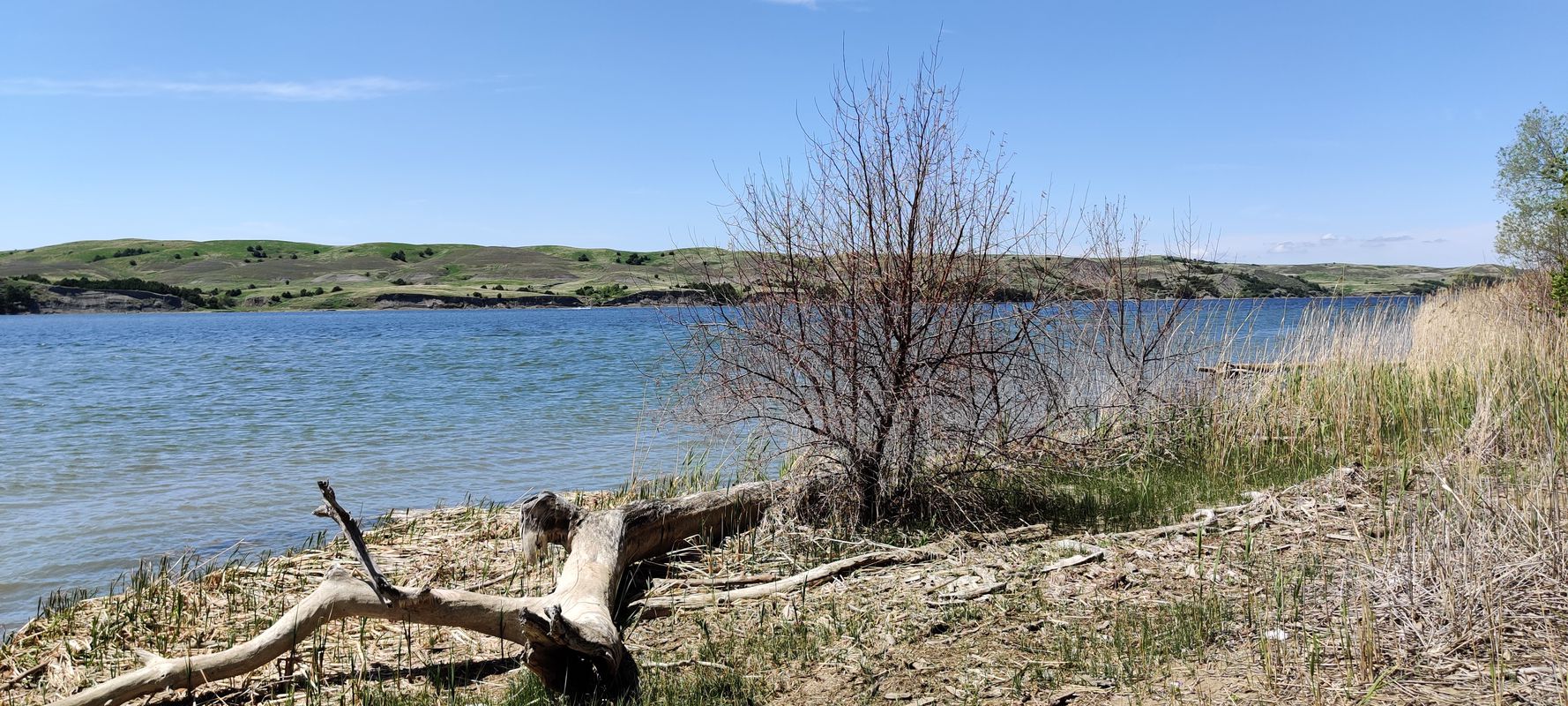 Farm Island Biking