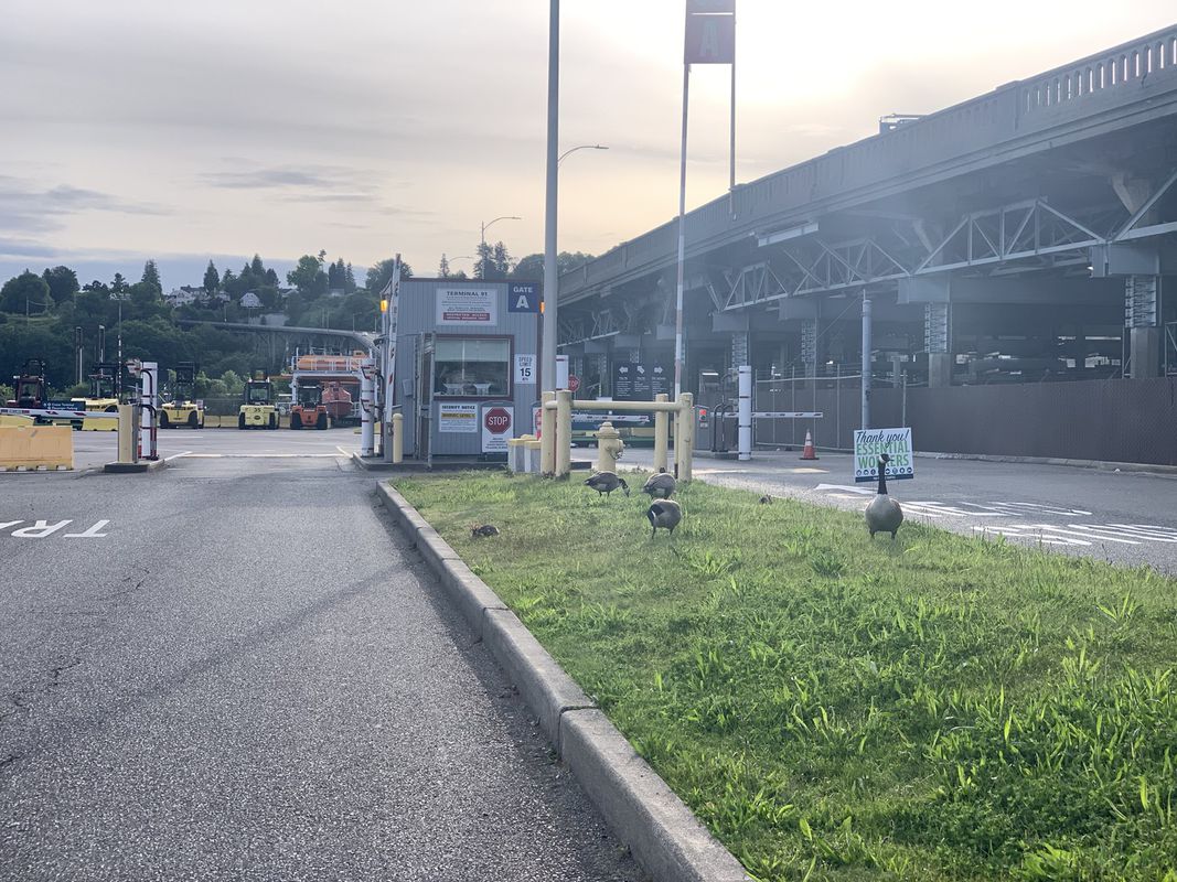 Chief Sealth to Elliot Bay Trail