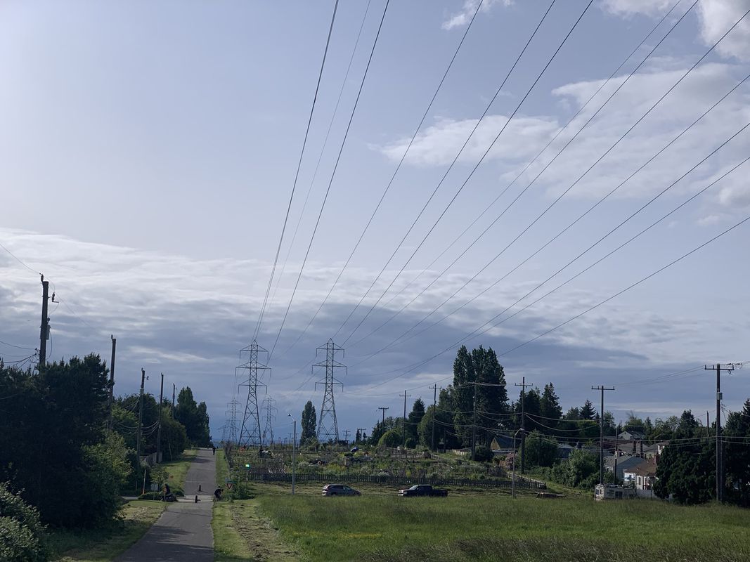 Chief Sealth to Elliot Bay Trail