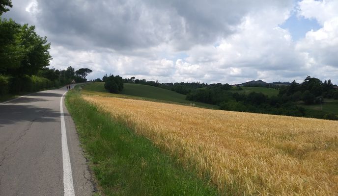 Foto 2 der Bikemap-Route "Monte Calderaro, Villa di Sassonero e Sassoleone da CSPietro"