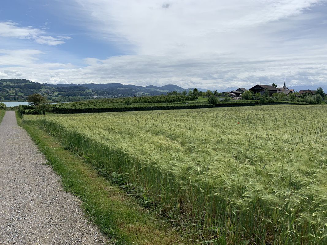 Relaxed route in Ebmatingen
