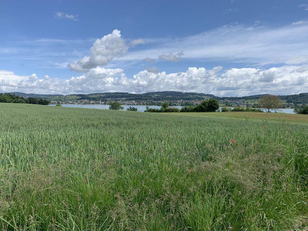 Relaxed route in Ebmatingen