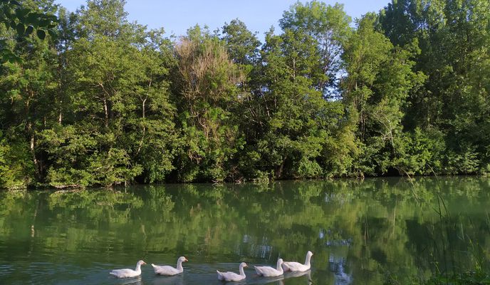 Photo 1 of the Bikemap route "De Route de Chalautre-la-Petite 30, Provins à Rue Grande 2, Bray-sur-Seine"