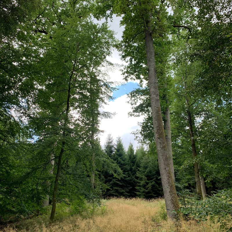 Moe_Cavero_Katzenbach_Uni (28km)