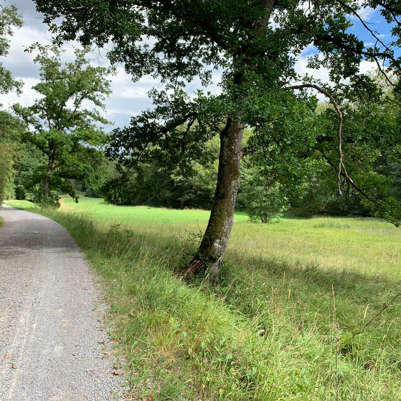 Moe_Cavero_Katzenbach_Uni (28km)