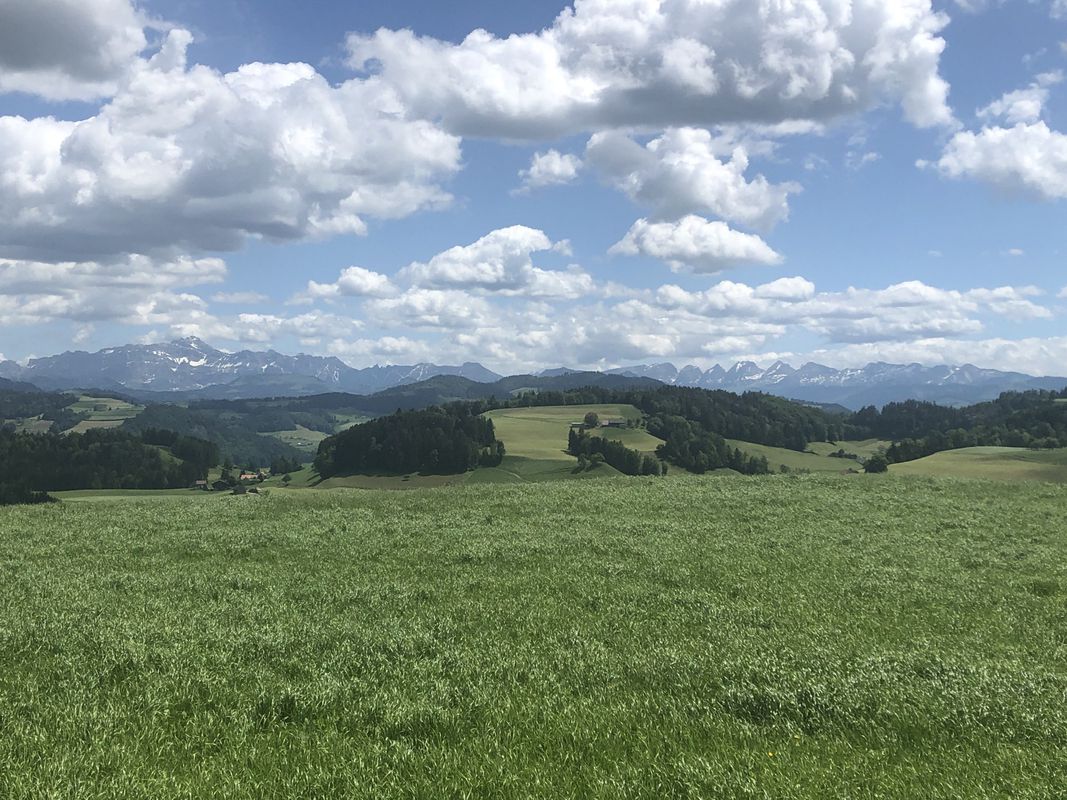 von Ganterschwil rund um Iddaburg