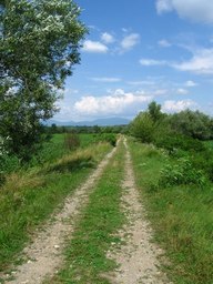 Hebe Bild 7 entlang der Bikemap-Route "Baia-Mare-Remetea Chioarului-Somcuta Mare-Ciolt--Buteasa-Codru Butesei-Intrerauri-Coas-Catalina-Baia Mare " hervor Hebe Bild 7 entlang der Bikemap-Route "Baia-Mare-Remetea Chioarului-Somcuta Mare-Ciolt--Buteasa-Codru Butesei-Intrerauri-Coas-Catalina-Baia Mare " hervor