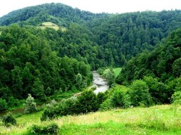 Hebe Bild 6 entlang der Bikemap-Route "Baia-Mare-Remetea Chioarului-Somcuta Mare-Ciolt--Buteasa-Codru Butesei-Intrerauri-Coas-Catalina-Baia Mare " hervor Hebe Bild 6 entlang der Bikemap-Route "Baia-Mare-Remetea Chioarului-Somcuta Mare-Ciolt--Buteasa-Codru Butesei-Intrerauri-Coas-Catalina-Baia Mare " hervor