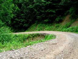 Hebe Bild 5 entlang der Bikemap-Route "Baia-Mare-Remetea Chioarului-Somcuta Mare-Ciolt--Buteasa-Codru Butesei-Intrerauri-Coas-Catalina-Baia Mare " hervor Hebe Bild 5 entlang der Bikemap-Route "Baia-Mare-Remetea Chioarului-Somcuta Mare-Ciolt--Buteasa-Codru Butesei-Intrerauri-Coas-Catalina-Baia Mare " hervor