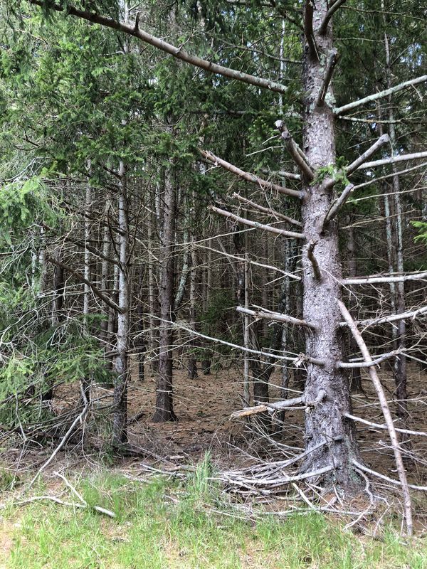 Slow ride in Wading River