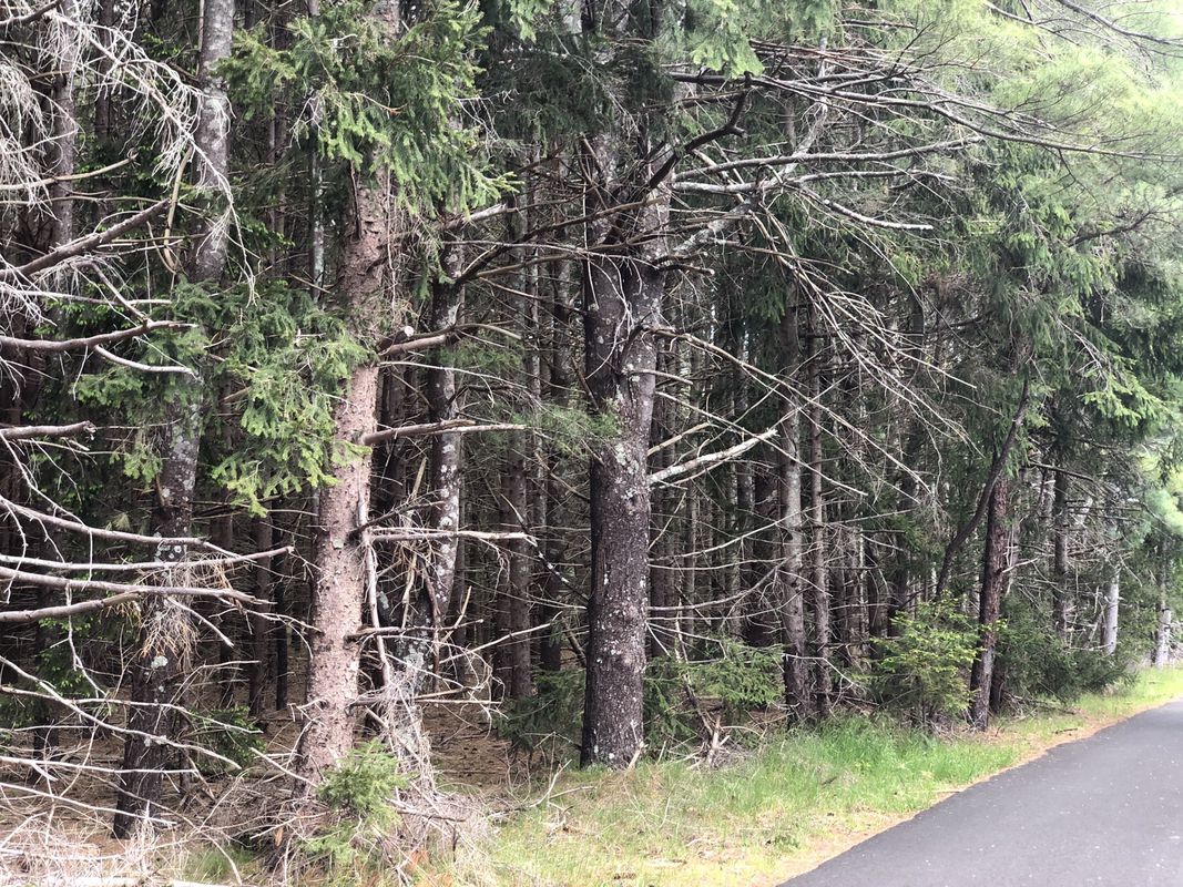 Slow ride in Wading River