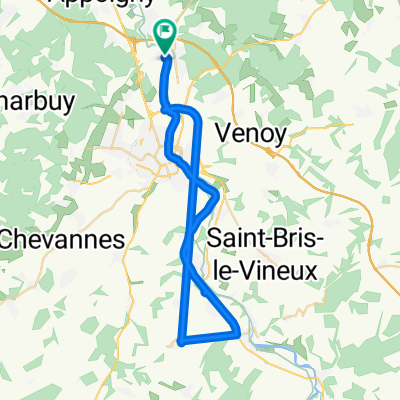 Voyage meurtrier dans Monéteau