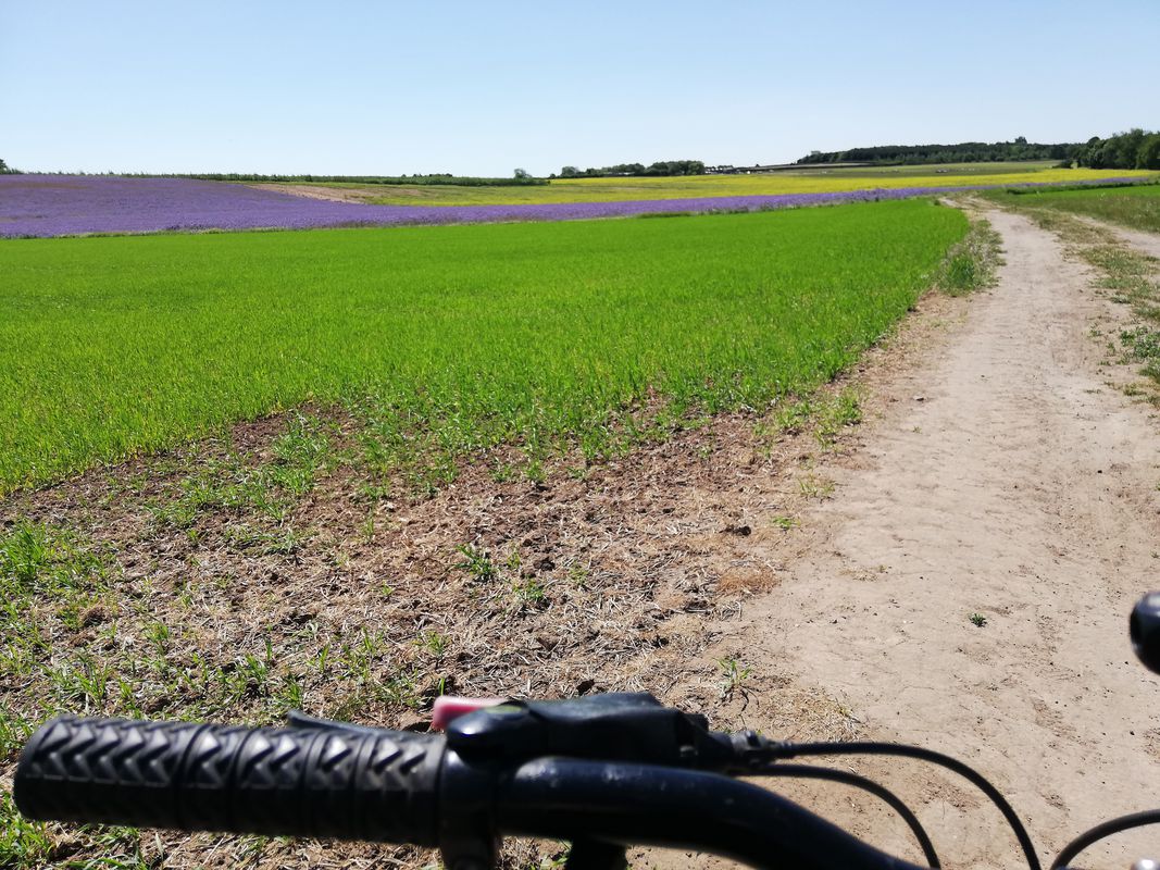 Studcross, Epworth to Manley Court 1, Epworth