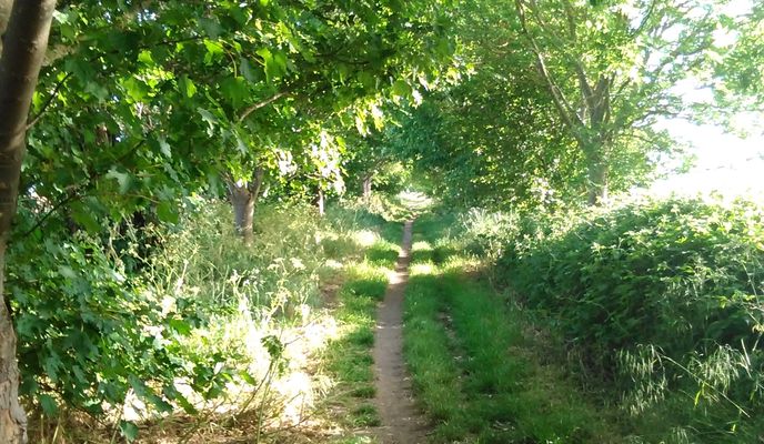 Photo 2 of the Bikemap route "Northern Woods"