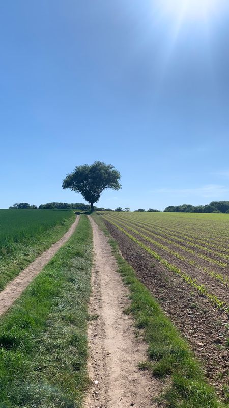 Kennet/Ramsbury