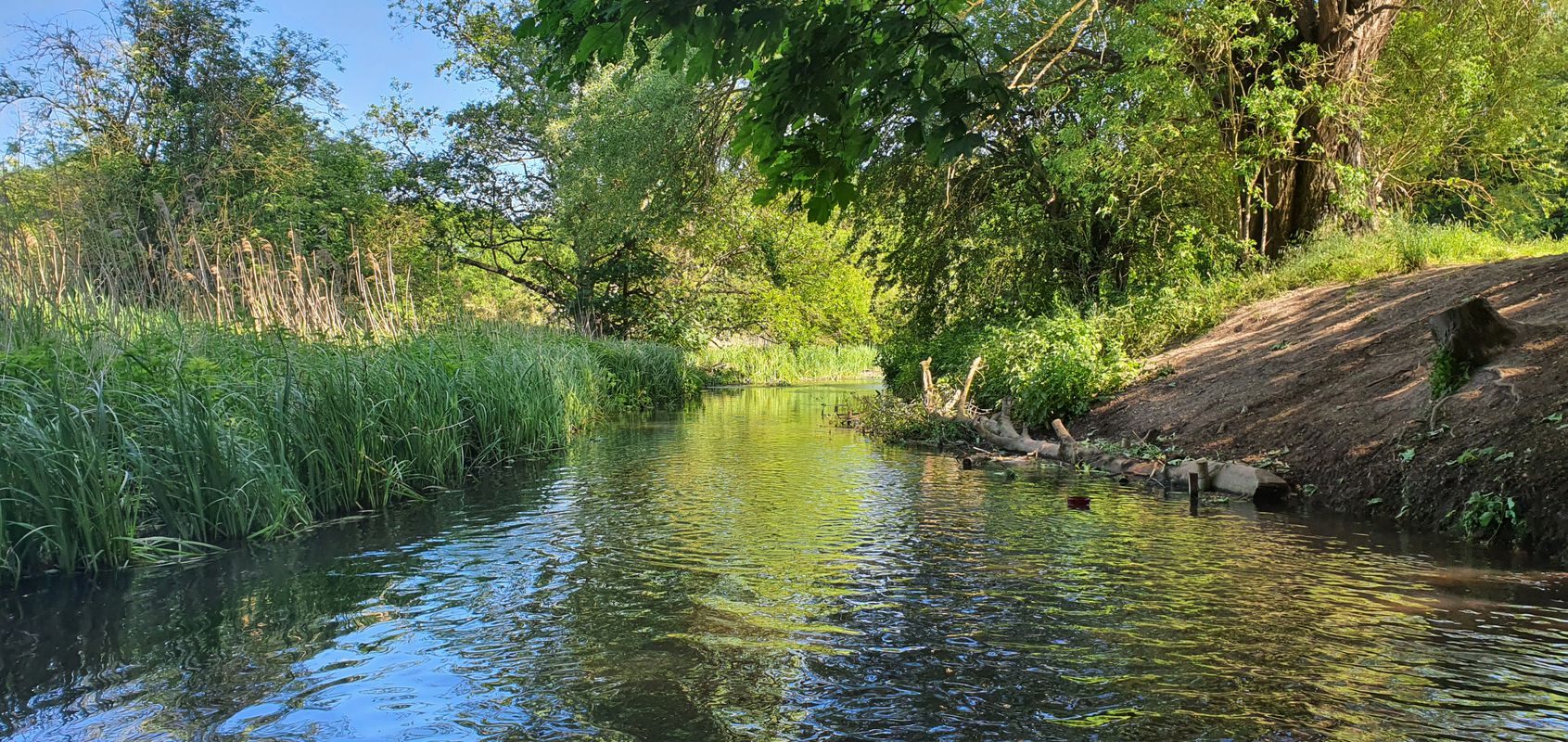 Thieves Lane to Wyton 38