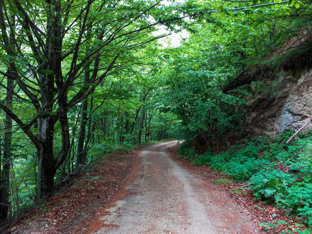 Valea Cernei trail Cerna-Sat - Lacul Iovanu - Cerna-Sat