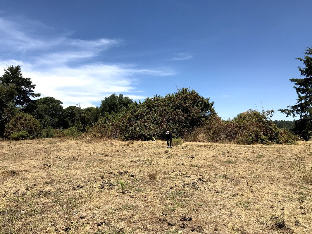 De Cerro Gordo a los pozos y de regreso