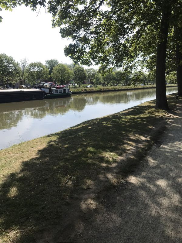 ¿ø}ı? naar ¿ø}ı?