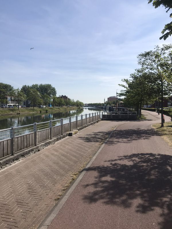 ¿ø}ı? naar ¿ø}ı?