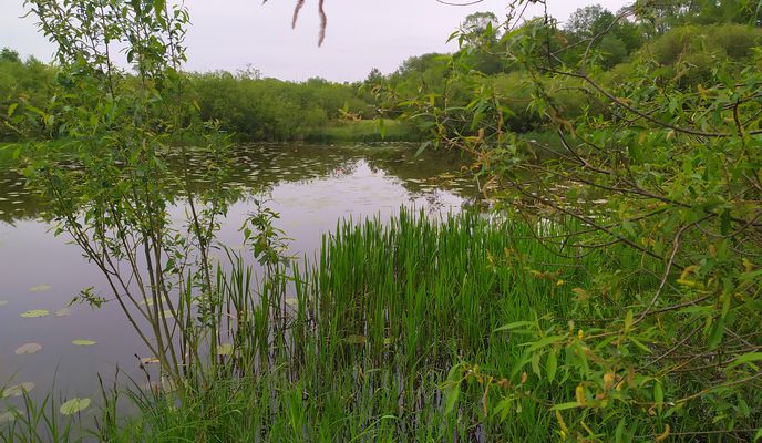 Foto 2 der Bikemap-Route "От Unnamed Road, Барэц до Unnamed Road, Барэц"