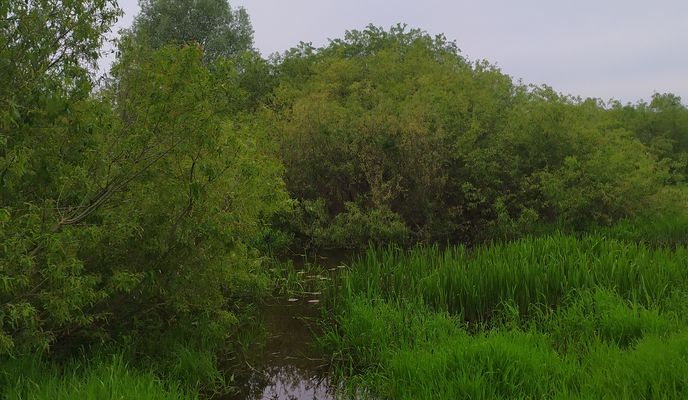 Foto 1 der Bikemap-Route "От Unnamed Road, Барэц до Unnamed Road, Барэц"