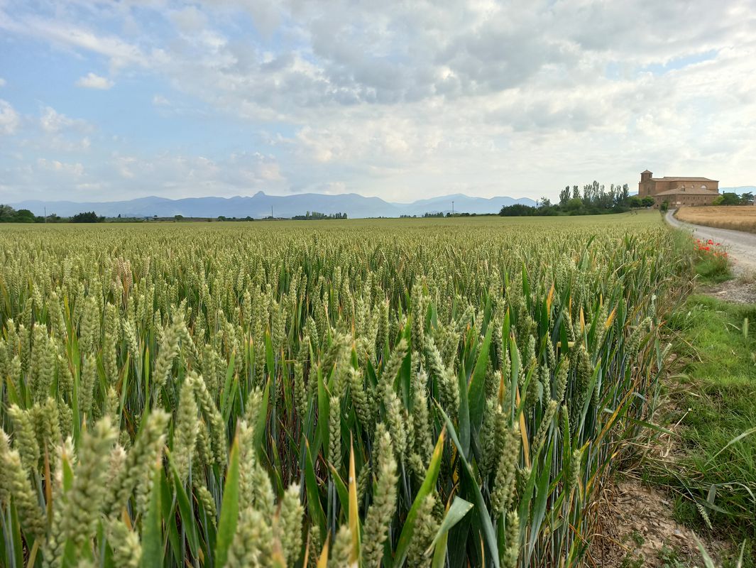 VUELTA POR PUEBLOS DE HUESCA