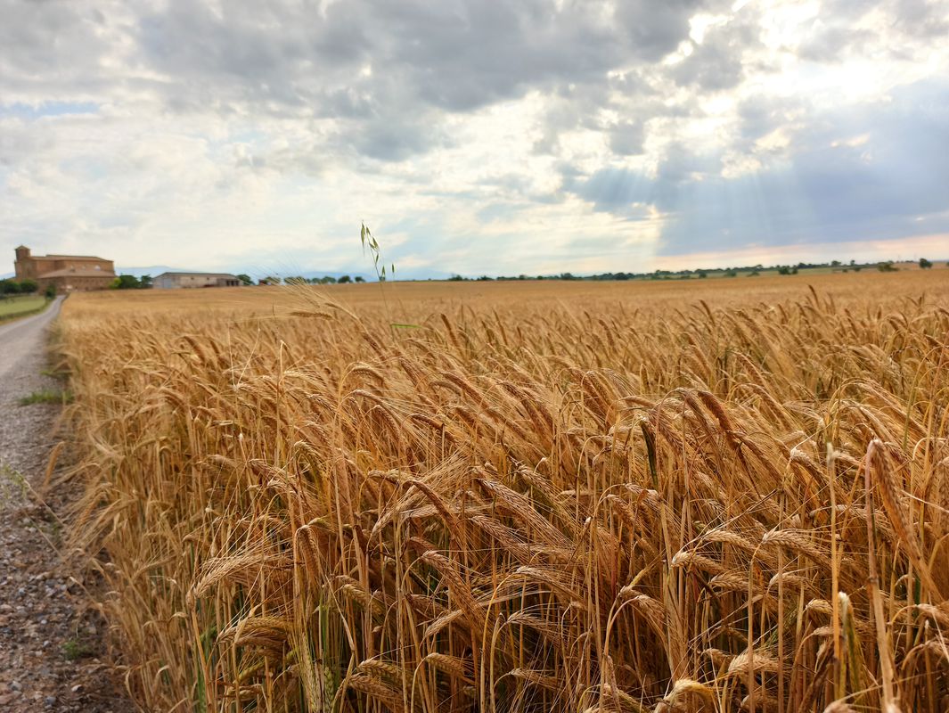 VUELTA POR PUEBLOS DE HUESCA