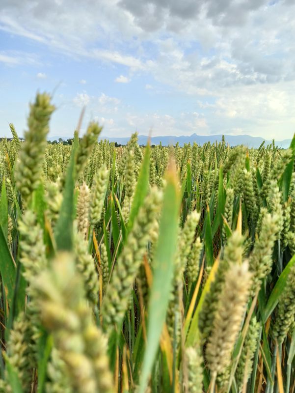 VUELTA POR PUEBLOS DE HUESCA