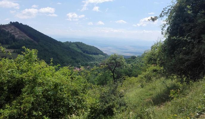 Photo 2 of the Bikemap route "Oarda-Inuri-Parcul Dentrologic Alba"