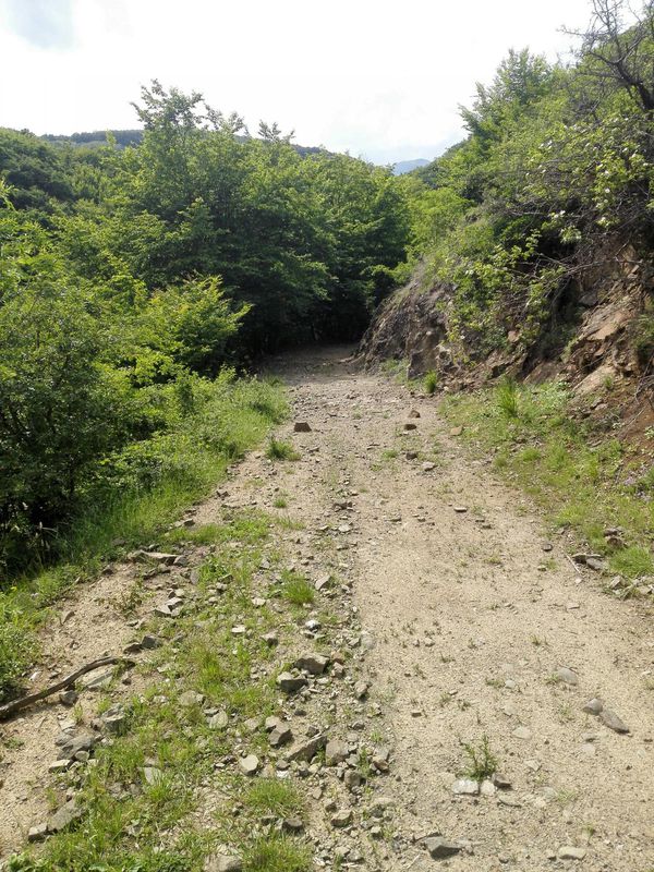 Poiana Galdei - Baile Romane - Cetea