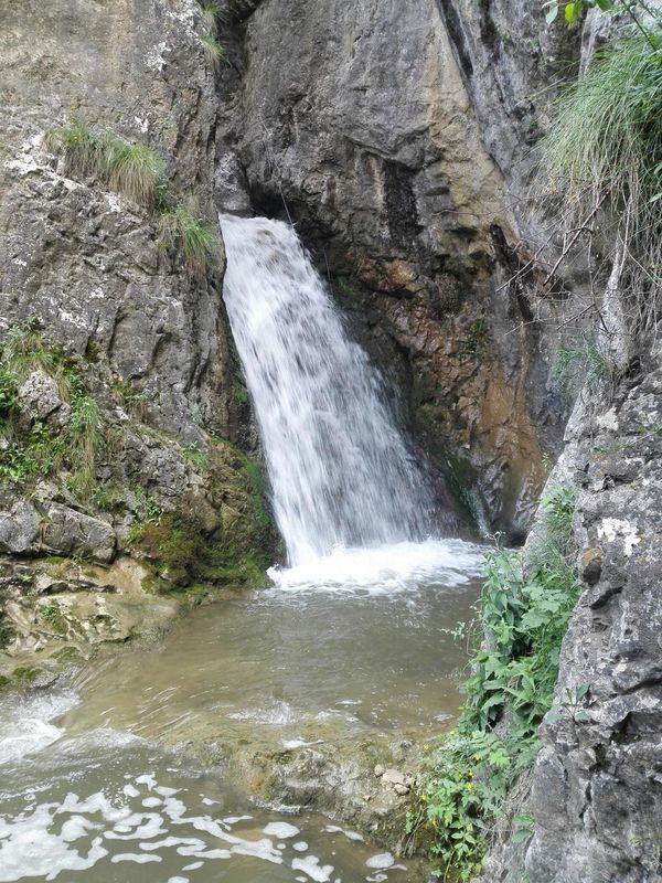Poiana Galdei - Baile Romane - Cetea